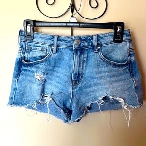 Pacsun High Rise Festival Jean Short